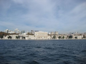 IMG_2379