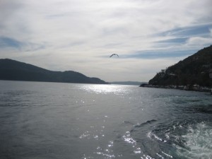 IMG_2402
